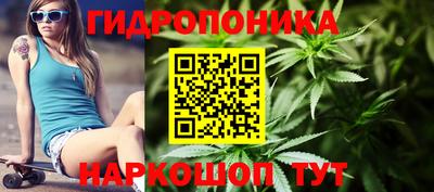 гидра Дубна