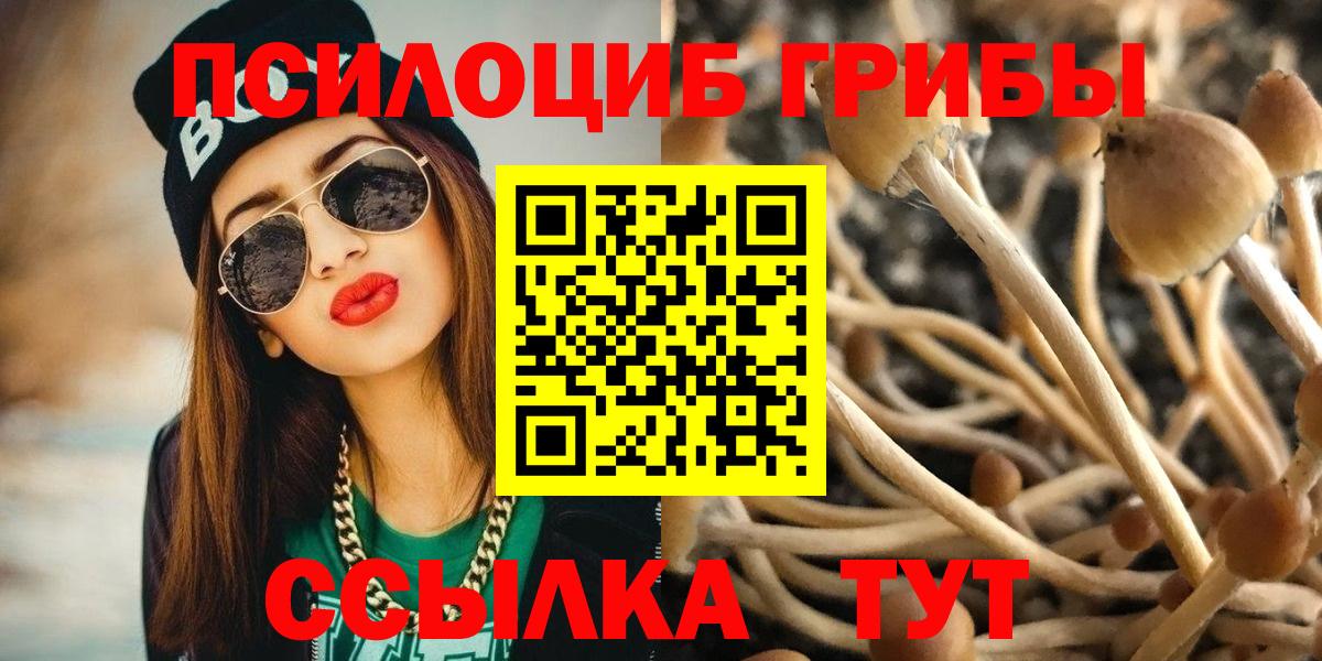 Псилоцибиновые грибы GOLDEN TEACHER  Новошахтинск 